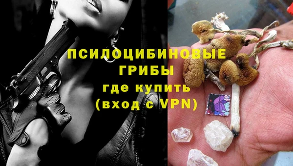 ешки Абаза