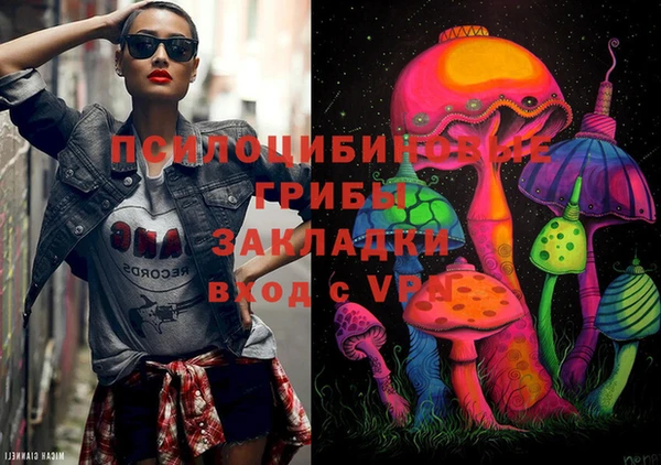 бошки Надым